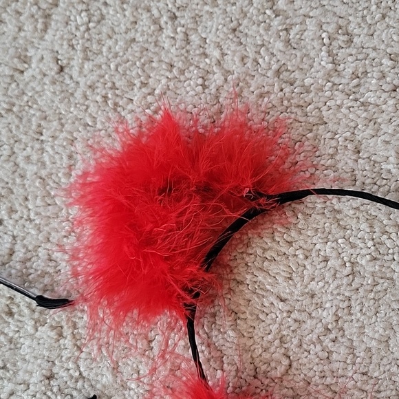 Cat ears - Picture 3 of 4